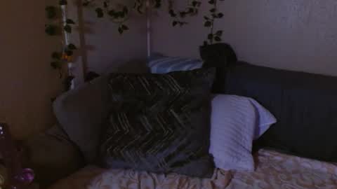 Mindy online show from 19, 2, 2026