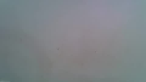 Snapshot of miss_rihanna2 chatting on 4, 2, 2026 miss_rihanna2 online show from 4, 2, 2026