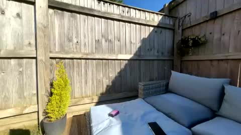  Miss Alex  online show from 21, 3, 2026