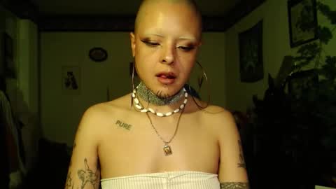 Snapshot of missanarky chatting on 19, 12, 2025 Anarkitten online show from 19, 12, 2025