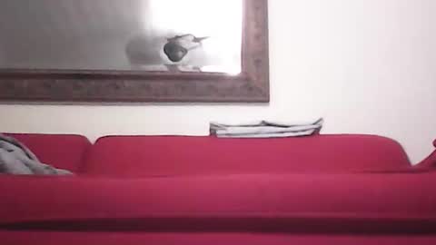 Snapshot of misshollywoodbaby chatting on 14, 9, 2025 misshollywoodbaby online show from 14, 9, 2025