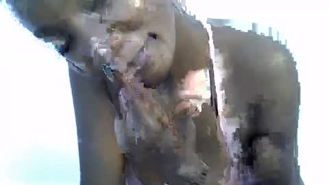 sexy online show from 19, 1, 2026