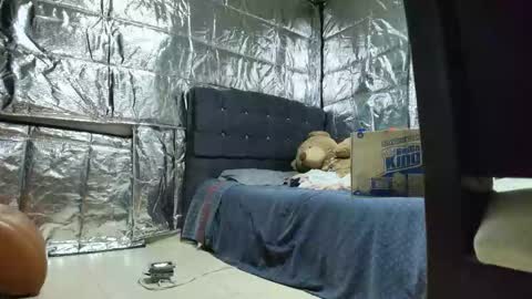 Snapshot of missstres_scarleth chatting on 24, 11, 2025 SCARLETH online show from 24, 11, 2025