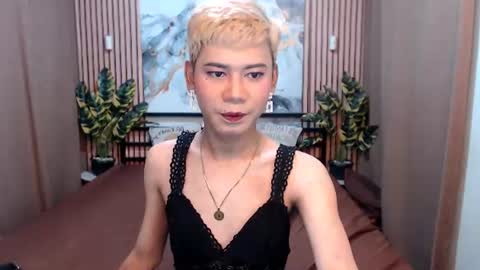 Stella online show from 5, 8, 2026