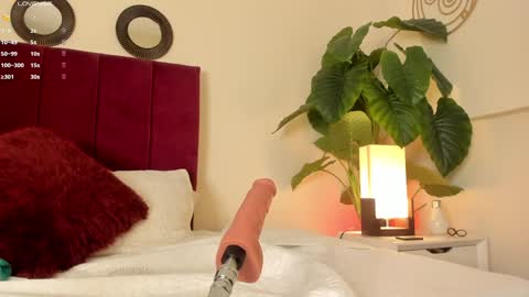 Snapshot of missvaleriaa chatting on 24, 12, 2024 Valeria Davila online show from 24, 12, 2024