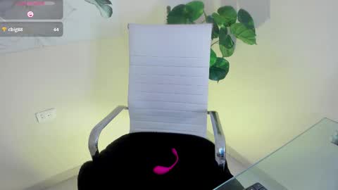 Miss online show from 8, 3, 2026