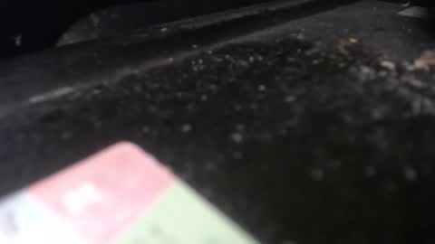 Calipso online show from 20, 4, 2026