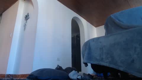 mistersam33 online show from 10, 2, 2025