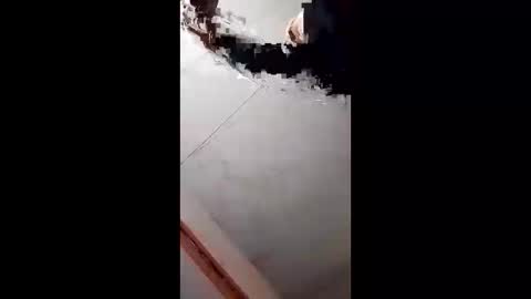 Handsome online show from 5, 2, 2025