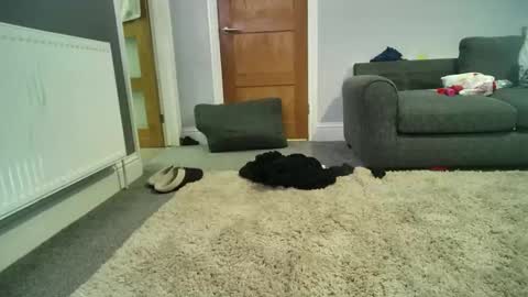 misterycouple12 online show from 27, 12, 2024