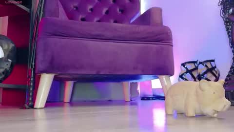 Jhadee online show from 7, 3, 2026