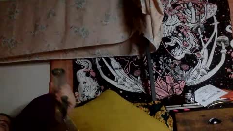 Snapshot of mistressmystii chatting on 12, 1, 2025 Mistress Mystii online show from 12, 1, 2025