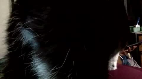 Snapshot of mistressmystii chatting on 1, 3, 2026 Mistress Mystii online show from 1, 3, 2026