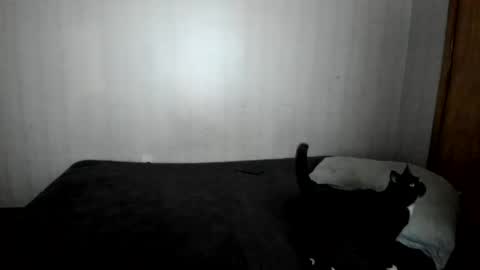 MizzKittay online show from 26, 2, 2025