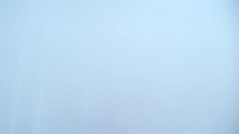 Catalina online show from 8, 3, 2025