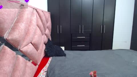 Catalina online show from 3, 4, 2026