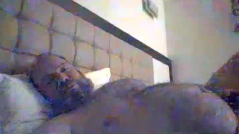 Snapshot of mofu781s chatting on 8, 1, 2026 mofu781s online show from 8, 1, 2026