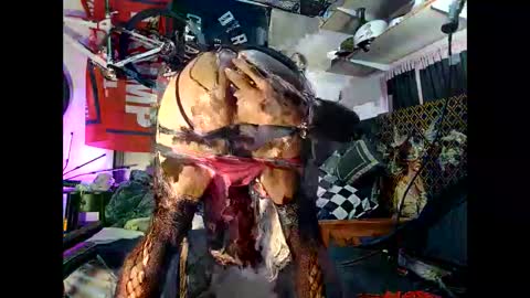 moneyballbaggin online show from 15, 10, 2025