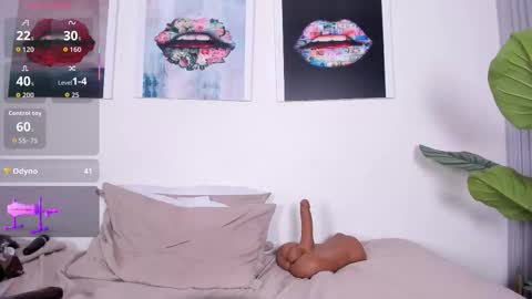 Snapshot of monika_ruiz chatting on 27, 11, 2025 I am Monika online show from 27, 11, 2025