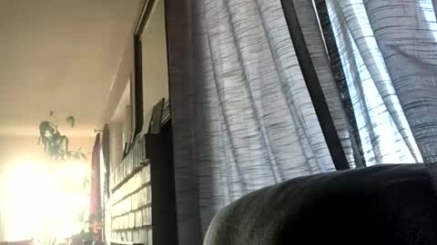 Monkee Dance online show from 17, 12, 2024