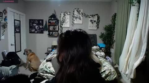 Snapshot of monstrumologist chatting on 6, 3, 2025 Lydia Mooney online show from 6, 3, 2025