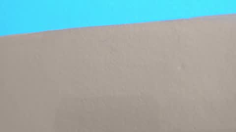 Winy online show from 7, 10, 2025