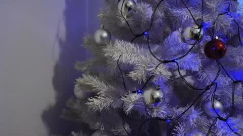   Mona   online show from 8, 12, 2024