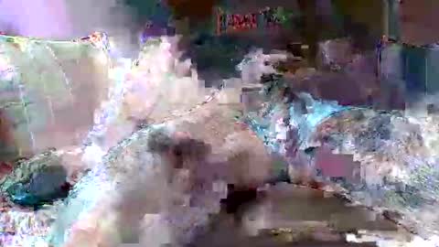 Snapshot of morboso2563 chatting on 21, 11, 2025 morboso2563 online show from 21, 11, 2025