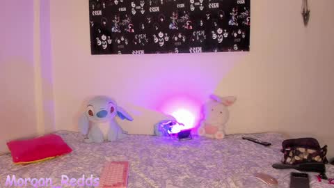 Snapshot of morgan_r13 chatting on 4, 12, 2024 Morgan-Redds online show from 4, 12, 2024