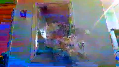 mppempis81 online show from 16, 11, 2025