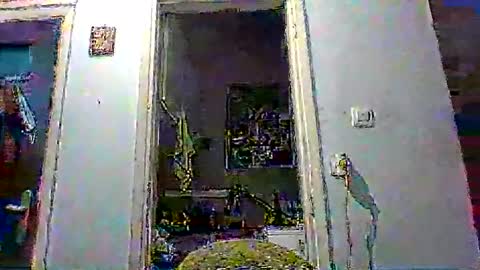 mppempis81 online show from 8, 1, 2026