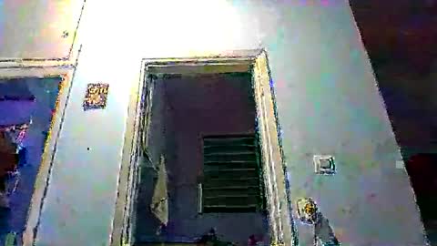 mppempis81 online show from 11, 1, 2026