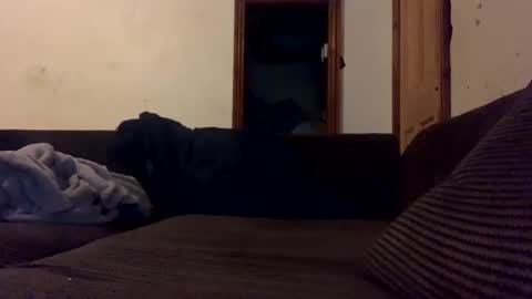 mr_big1983 online show from 4, 12, 2024