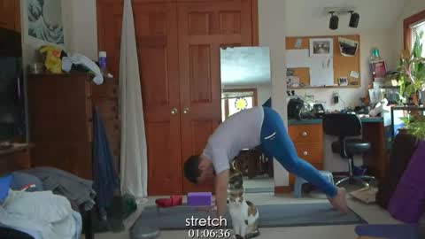 Snapshot of mr_foxxy chatting on 31, 1, 2025 ninko online show from 31, 1, 2025