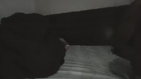 mr hooked online show from 18, 11, 2025