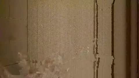 mr_i_ online show from 22, 2, 2025