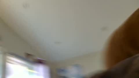 Sterling  Lena online show from 7, 8, 2026