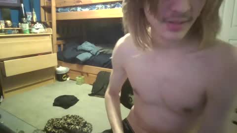 Ant online show from 7, 12, 2024