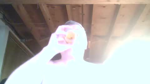 Snapshot of mrblade666 chatting on 12, 1, 2025 mrblade666 online show from 12, 1, 2025