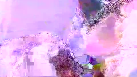 Mr boom online show from 5, 6, 2026