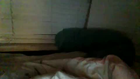 mrgray11xxx aussie online show from 20, 12, 2024