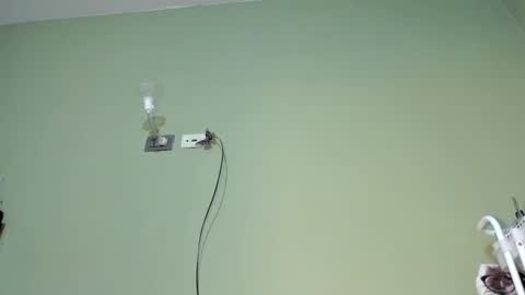 MsPurrfectLove online show from 9, 3, 2025