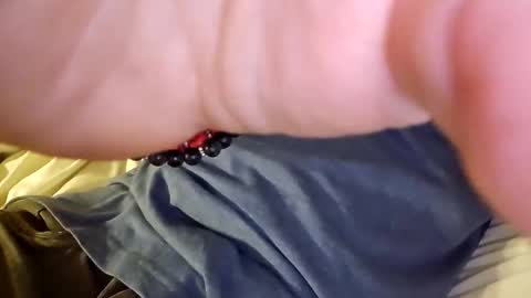 mtnclimber1 online show from 19, 11, 2025