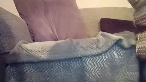 mtx9889 online show from 17, 12, 2025