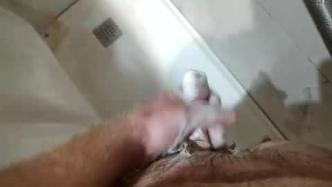 Snapshot of mugglesmuggler chatting on 20, 3, 2026 mugglesmuggler online show from 20, 3, 2026