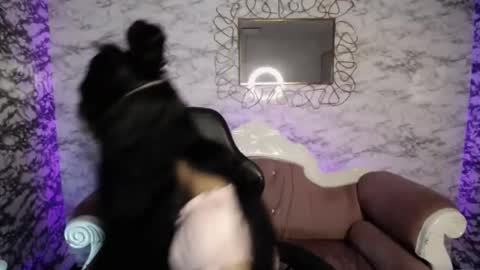 Snapshot of mulan_v chatting on 29, 1, 2025 Live 800am 200pm COLOMBIAN HOUR online show from 29, 1, 2025