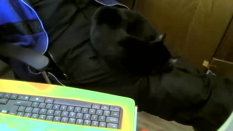 muller520 online show from 18, 1, 2025