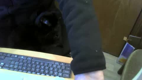 muller520 online show from 22, 1, 2025