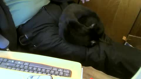 muller520 online show from 22, 1, 2025