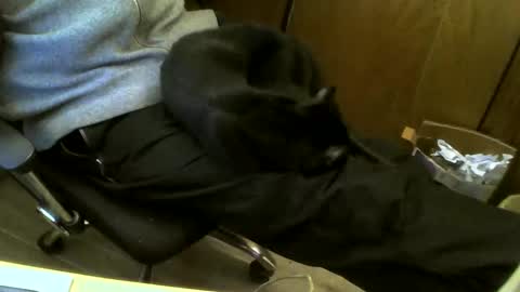 muller520 online show from 19, 2, 2025